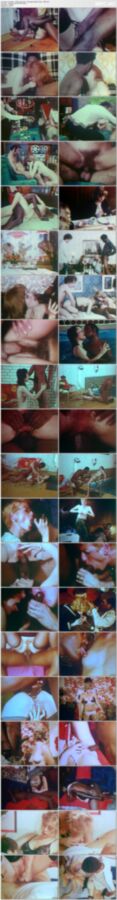 1970s Fuck Fest – Humongous Black Cocks / Porn 70s – Collection of short films (CD Film, Connoisseur, Exciting Film, Master Film, Swedish Erotica, Tenill, Diamond Collection) [1970s, All Sex, Classic, Loops, DVDRip] – Porn torrents download