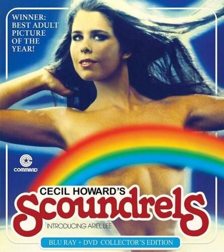 Scoundrels / Villains (Cecil Howard, Command Cinema Corporation) [1982, Adult | Drama, BDRip, 720p] (Ron Jeremy … Simon Lisa Be … Linda Tigr … Francie George Payne … Harper Copper Penny … Vivian Anna Turner … Mrs. Katz Robert Kerman … – Porn torrents download