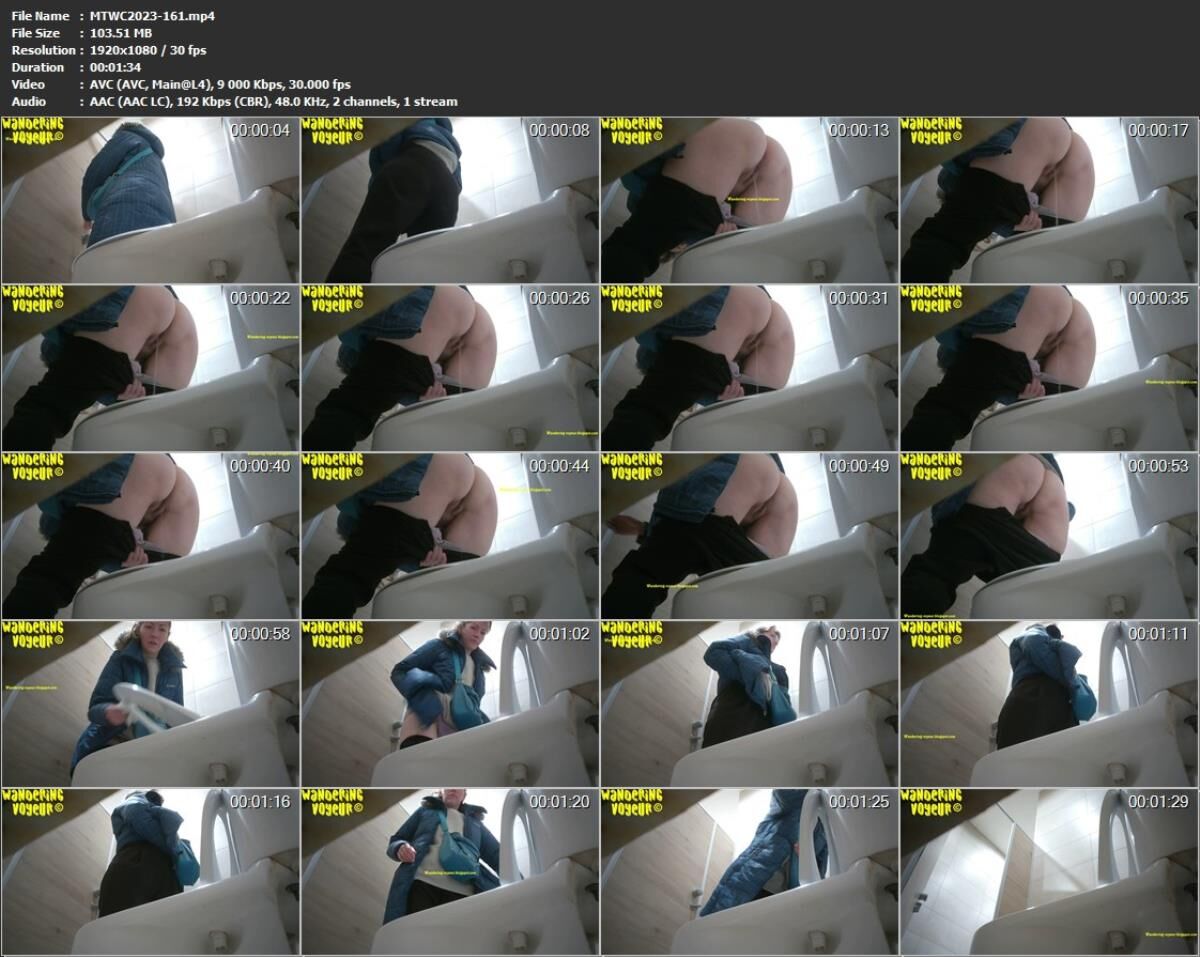 [123.81 GB] Traveling voyeur – 5 (1363 videos) Pack 5 – Porn torrents download