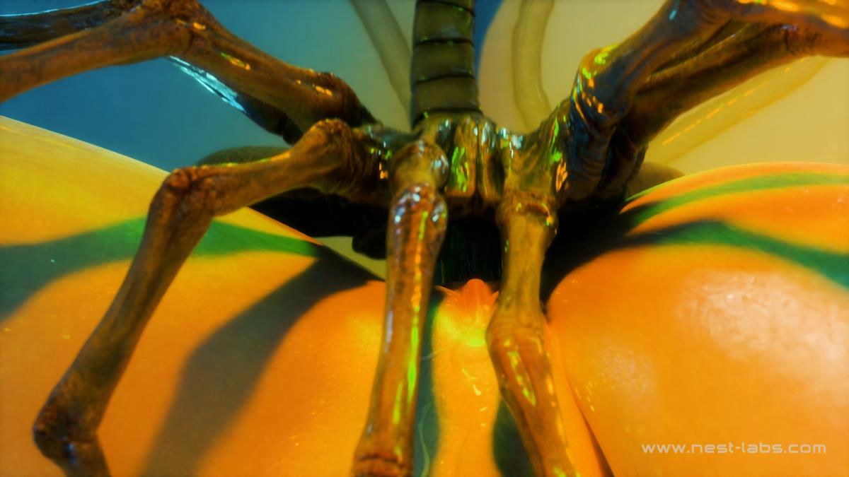 [10.08 GB]TheNest (TheNestAnimations, NestLabs3D, Xeno Graphica) / Collection of works by TheNest (TheNestAnimations, NestLabs3D, Xeno Graphica) – Porn torrents download