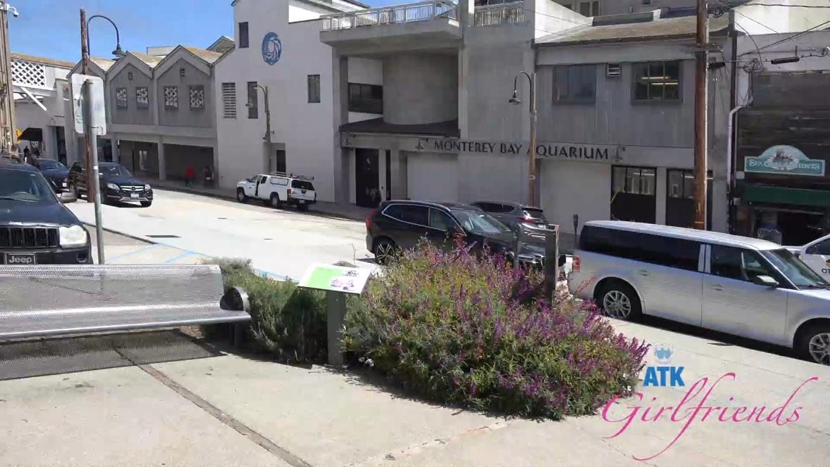 [1.92 GB] Serena Hill – Nor Cal 7/8 (1691 Scene #7) – Porn torrents download