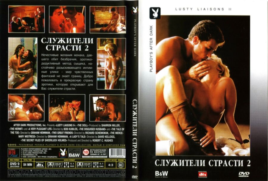 Lusty Liaisons 2 / attendants passion 2 (Robert C. Hughes, David Kellogg, Richard Schenkman) [1994 g., Erotic, DVD5] [rus] + [eng] – Porn torrents download